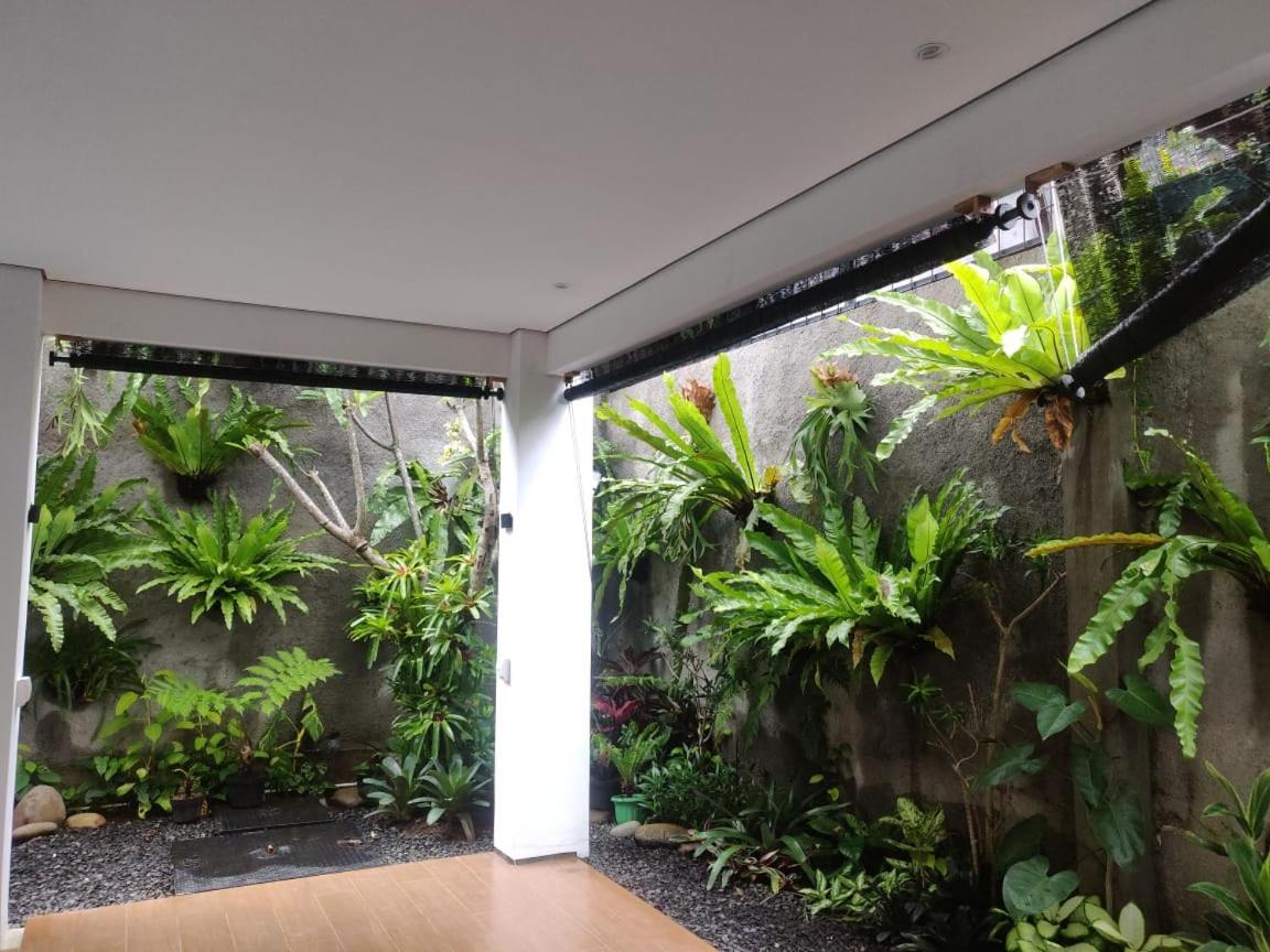 Rion Hostel Bogor Exteriér fotografie